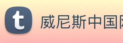 威尼斯中国网站 Logo